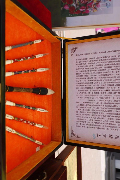 技能 讓生活更美好 2021年新絳縣職業(yè)教育活動(dòng)周啟動(dòng)